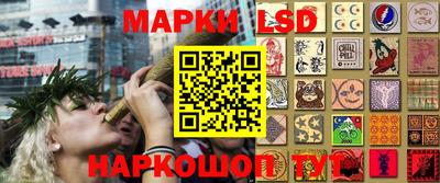 индика Краснознаменск