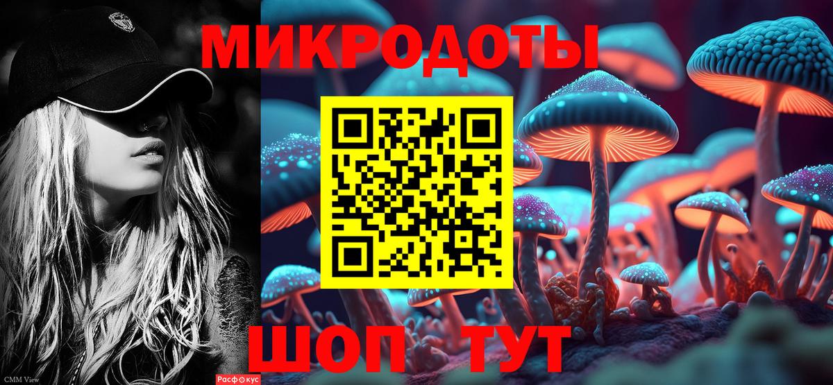 Галлюциногенные грибы Psilocybe Ялуторовск